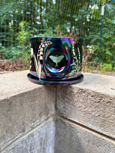 6” resin planter