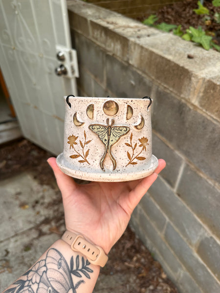 4” hanging luna planter