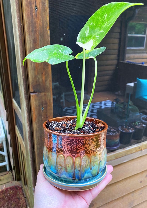 Preorder* Copper Turquoise Planter – Adrienne Oates Art